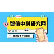 頭盔光致變色過渡遮陽板市場銷售現(xiàn)狀與競爭趨勢研究報告